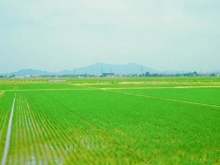 のどかな田んぼと山並みの車窓 のどかな田んぼと山並みの車窓 空,車窓,田んぼの写真素材