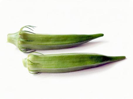 夏野菜 オクラ 夏野菜 オクラの写真