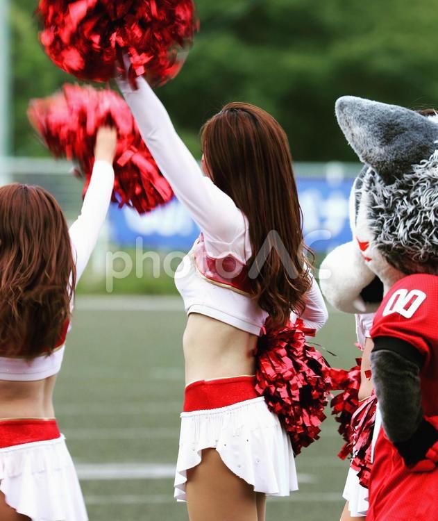 イメージ素材　アメリカンフットボール　試合観戦　応援風景 無観客,自粛活動,アフターコロナの写真素材