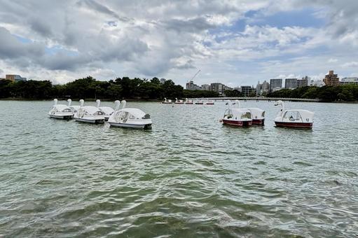 大濠公園 大濠公園 大濠公園,池,公園の写真素材