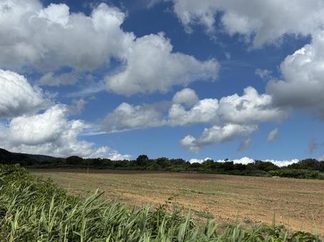 夏の雲 夏の雲 夏の雲,空,夏の空の写真素材