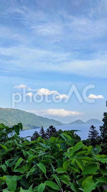 隙間からの幸せ 北海道,自然,隙間の写真素材