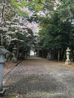 神社 神社の写真