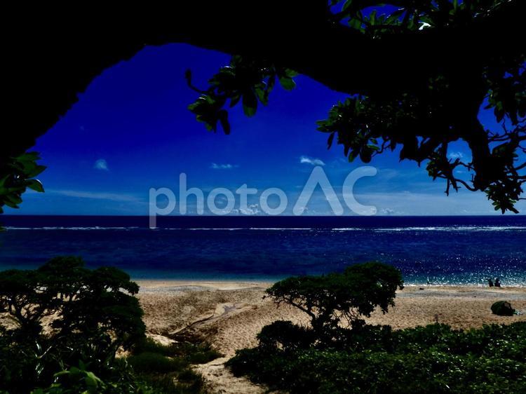沖縄県宮古島　木陰からの風景 沖縄,宮古島,空の写真素材
