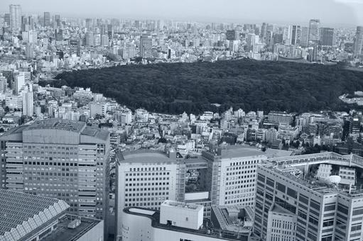 広大な森と都会の街並み 広大な森と都会の街並みの写真