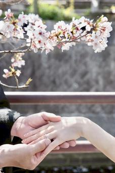 結婚 結婚指輪 結婚 結婚指輪 結婚,結婚式,前撮りの写真素材