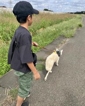 朝のウォーキング、犬と子供 朝のウォーキング、犬と子供 犬,少年,散歩の写真素材