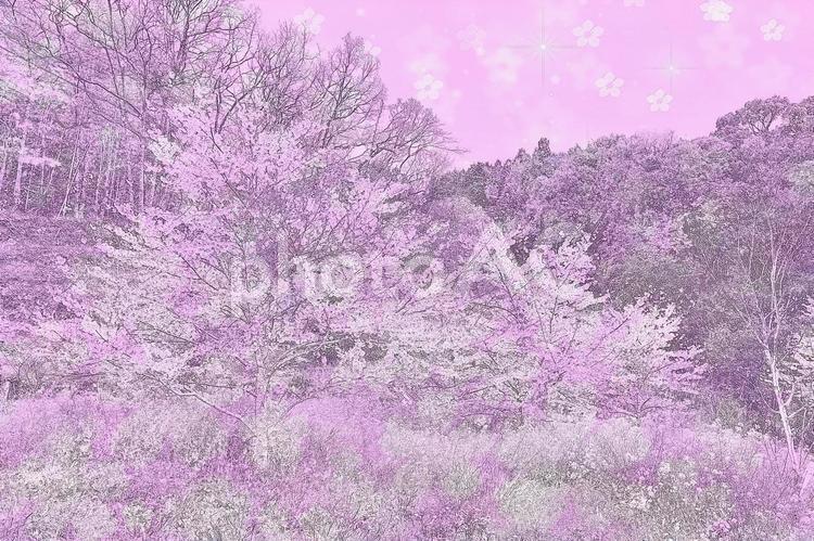 花の幻想　桜と春のイメージ 背景素材,背景画像,壁紙の写真素材