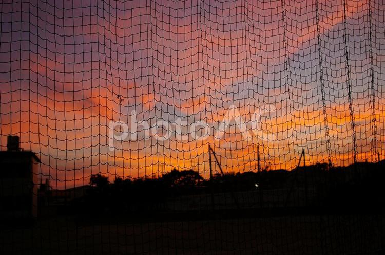 ネットから見える夕焼け 夕焼け,dusk,夕陽の写真素材