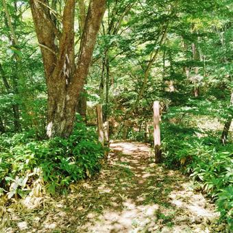 御堂新田の滝の風景 2025 御堂新田の滝の風景 2025の写真