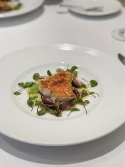 魚料理 魚料理 フレンチ,コース料理,フランス料理の写真素材