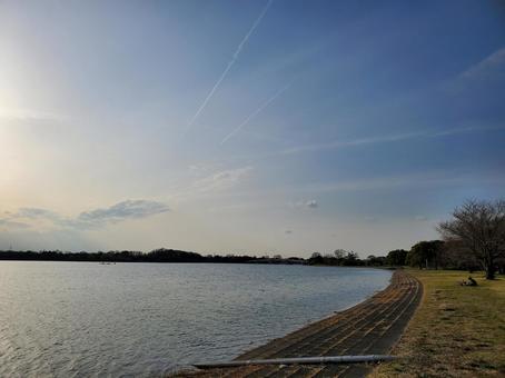 池と公園 池と公園 公園,池,夕方の写真素材