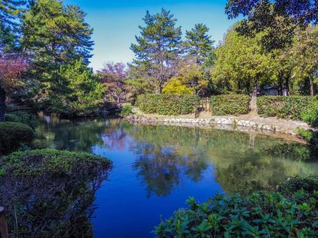 【兵庫県】姫路市・姫山公園 姫山公園,庭園,池の写真素材