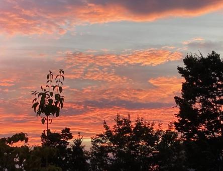 夕焼け２の写真