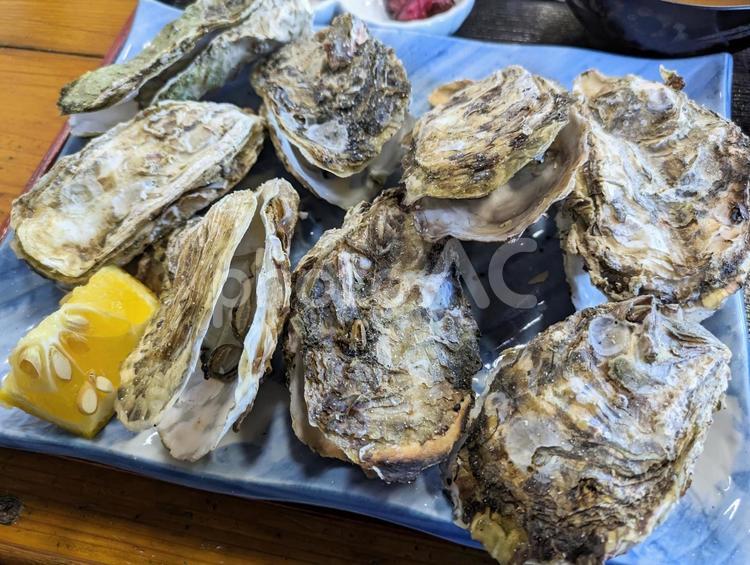 鳥羽市浦村の焼き牡蠣１ 焼き牡蠣,牡蠣,カキの写真素材