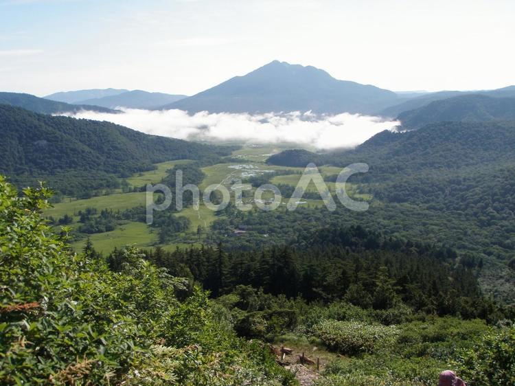 尾瀬の燧ヶ岳（ひうちがたけ） 尾瀬,雲海,自然の写真素材