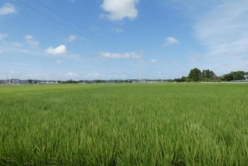 田園風景 田園風景の写真