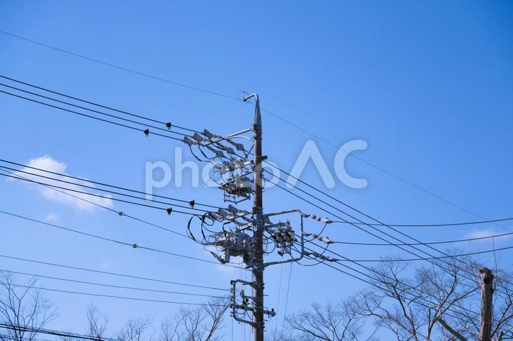 沢山の電線が伸びた電柱 インフラ,生活,電柱の写真素材