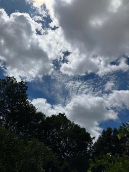 夏の空2 夏の空2の写真