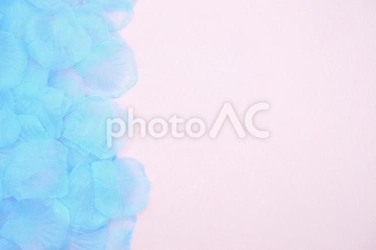 水色の紫陽花のフレーム素材 紫陽花,フレーム,梅雨の写真素材