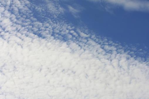 Photo, scales of clouds, cloud, blue sky, 