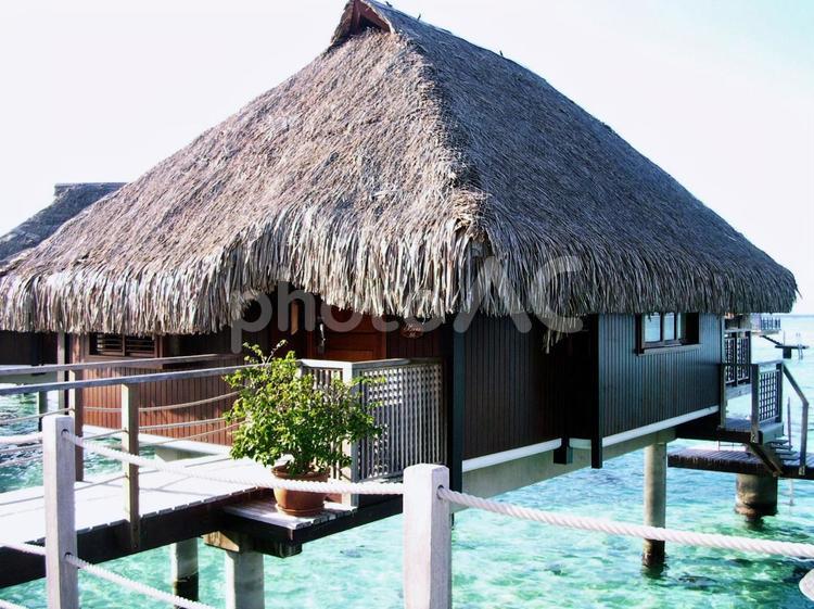 タヒチの水上コテージ タヒチ,モーレア島,水上コテージの写真素材