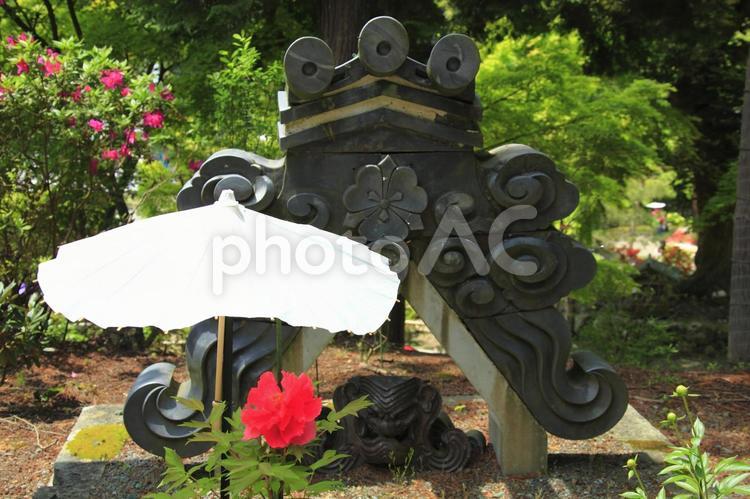 鬼瓦と牡丹 多田寺,鬼瓦,牡丹の写真素材