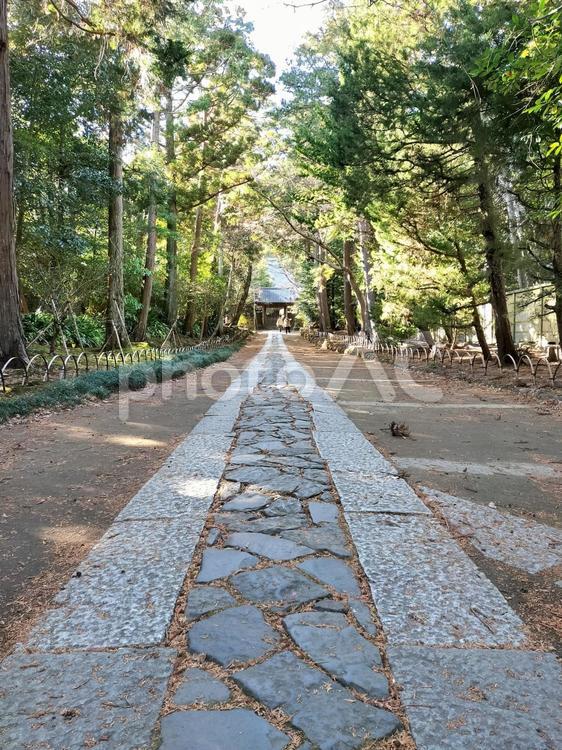 鎌倉の「寿福寺」総門から中門への参道 寿福寺,総門,参道の写真素材