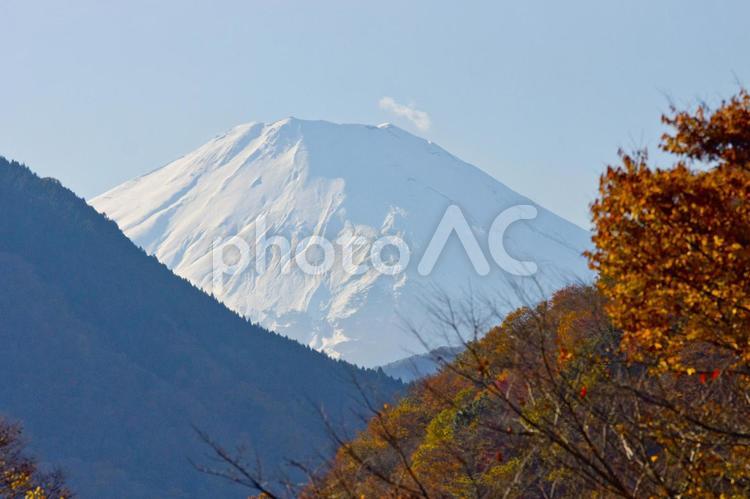 秋の丹沢湖_5 富士,山,冠雪の写真素材