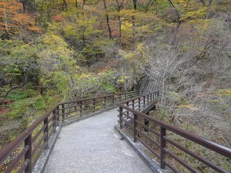 Scenery around Nijimi Bridge in Ryuokyo, JPG Scenery around Nijimi Bridge in Ryuokyo, JPG
