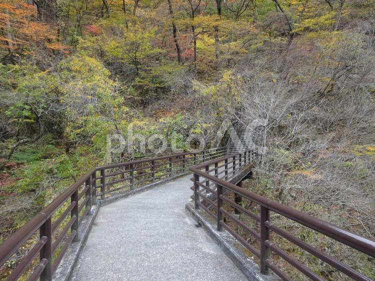 龍王峡の虹見橋周辺の風景 龍王峡,虹見橋,風景の写真素材