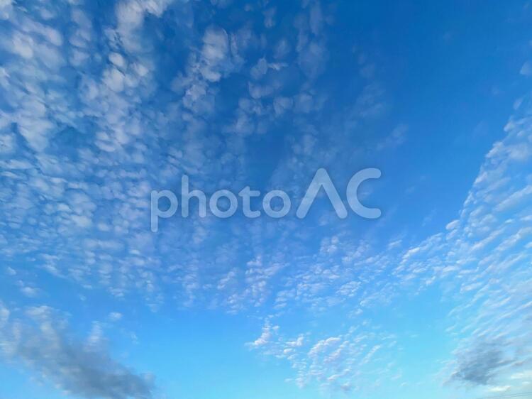 田舎の秋のうろこ雲9 空,雲,自然の写真素材