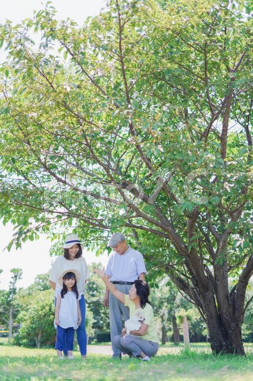 幸せなファミリー・家族イメージ ファミリー,カジュアル,子持ちの写真素材
