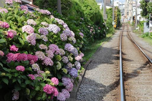 紫陽花と線路 紫陽花と線路の写真