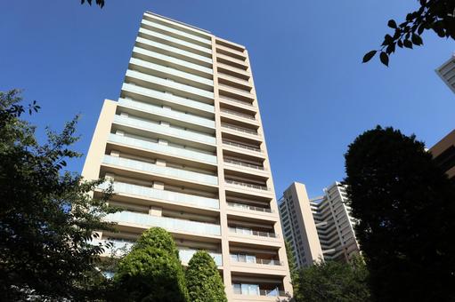 千葉県 柏の葉キャンパスの街並み 千葉県 柏の葉キャンパスの街並み 柏市,千葉県,柏の葉キャンパスの写真素材