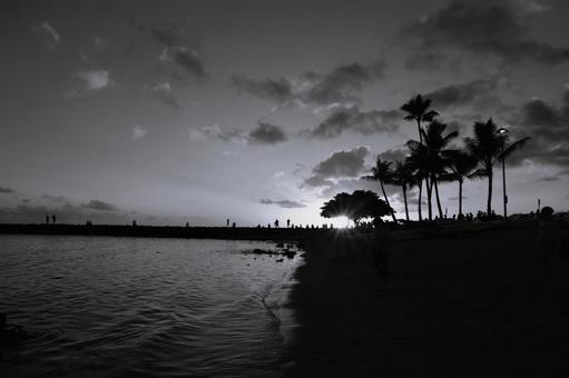 ハワイの夕日とヤシの木のモノクロ風景 ハワイの夕日とヤシの木のモノクロ風景 ハワイ,夕日,夕暮れの写真素材