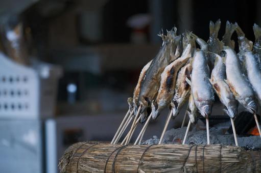 囲炉裏で焼かれる鮎の塩焼き 囲炉裏で焼かれる鮎の塩焼きの写真