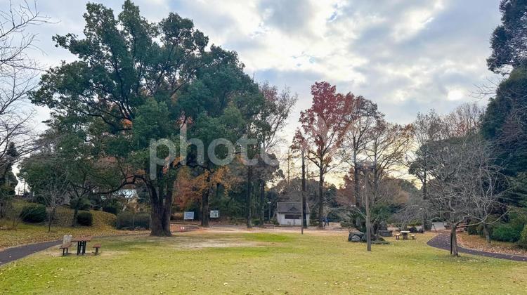 落ち葉に包まれた蛇ヶ谷公園の遊び場 蛇ヶ谷公園,玉名市,熊本県の写真素材