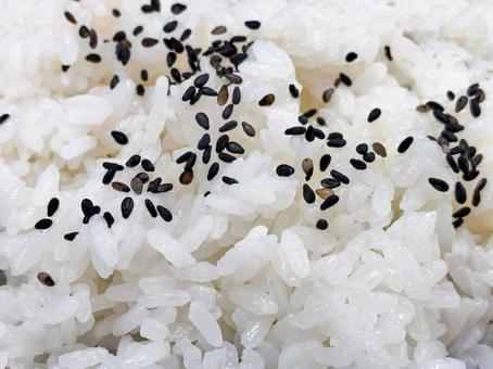 お弁当のご飯と黒ごま ご飯,白米,米の写真素材