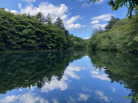 夏の雲場池 雲場池,夏,景観の写真素材