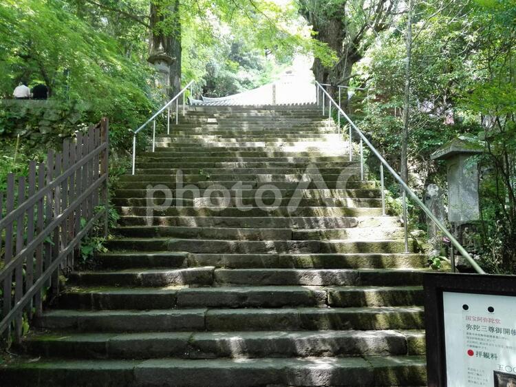 富貴寺 富貴寺,六郷満山,日本三阿弥陀堂の写真素材