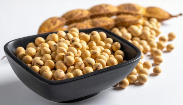 大豆 大豆の写真