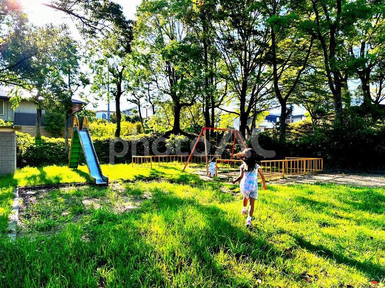 夏の公園で遊ぶ子供たち かもしか公園,ブランコ,滑り台の写真素材