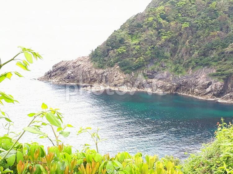 京都(伊根町)の海景色 自然,風景,海の写真素材