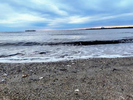 葛西臨海公園 葛西臨海公園,海,海岸の写真素材