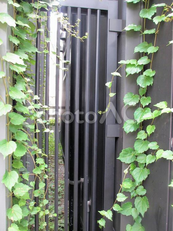 アイアンフェンスの縁取り アイアン,フェンス,黒の写真素材