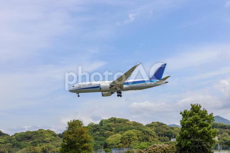 飛行機と青空が交わる場所 飛行機,航空機,旅客機の写真素材