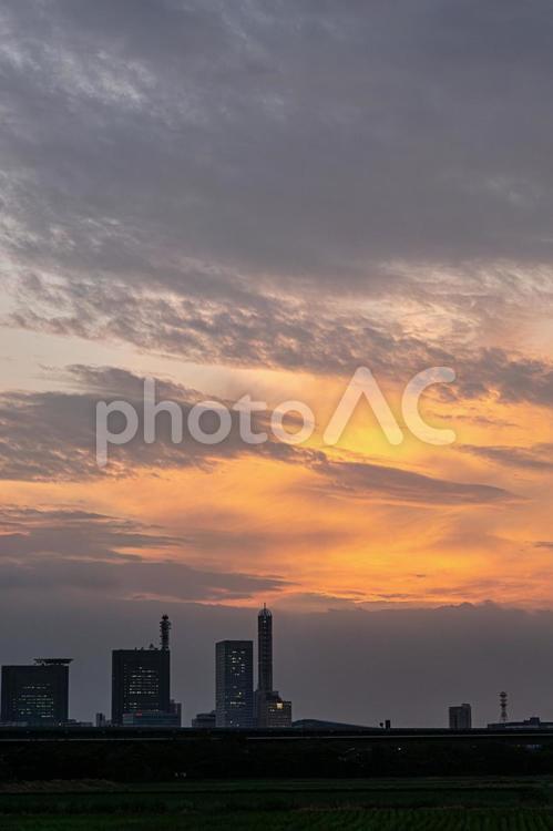 さいたま新都心の夕景 夕景,夕焼け,田んぼの写真素材