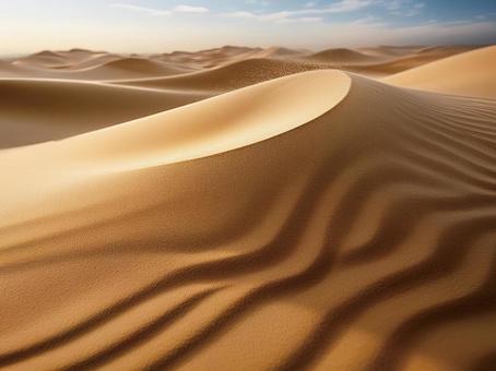 砂5 砂5の写真