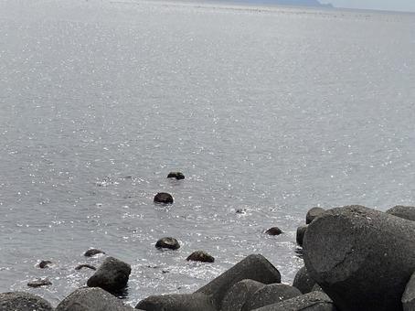 駿河湾 駿河湾の写真